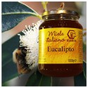 Eucaliptus Honey