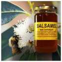 Balsamel - balsamic honey